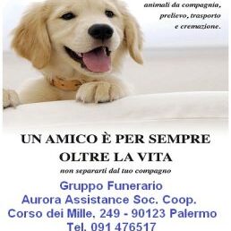 Cremazione Animali Palermo