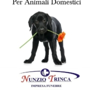 Cremazione di animali domestici vicino a me