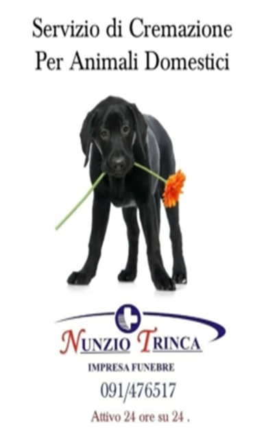 Palermo-Perche-Cremare-un-Animale-da-Compagnia-240x300 (1)